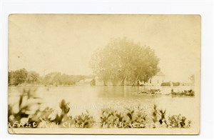 Image description is not available for PHO-264-534